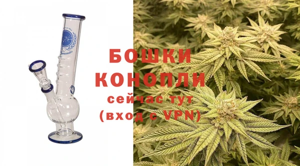 PSILOCYBIN Остров