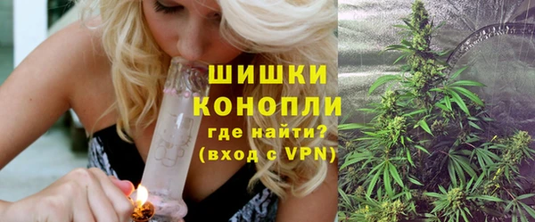 PSILOCYBIN Остров