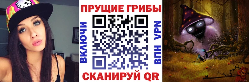 Купить закладки  Чердынь  Галлюциногенные грибы мицелий 